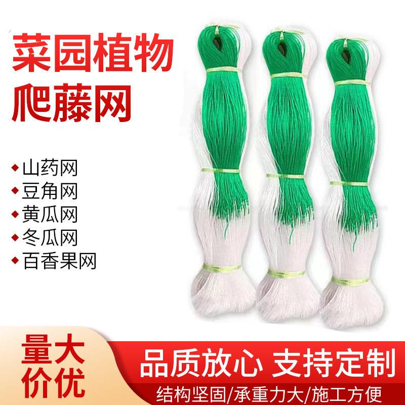 种瓜苦瓜吊瓜丝瓜黄瓜豆角蔬菜瓜果植物爬藤网种植网农用尼龙网