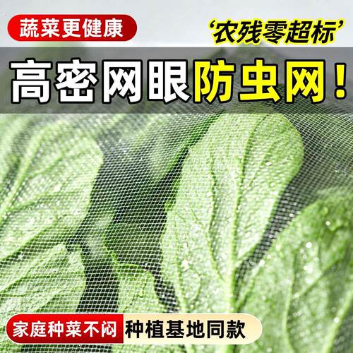 纱网防虫网大棚专用农用养殖网蔬菜网蝗虫果树果园种菜专用防虫网