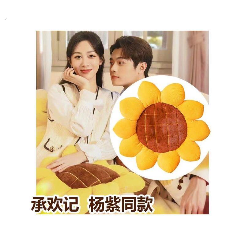 向日葵抱枕麦承欢承欢记杨紫向日葵靠枕沙发靠背枕头枕坐垫椅子垫