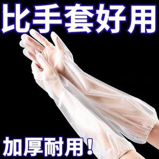 食品级长袖 一次性PE家务手套加长束口厨房洗碗薄款 洗衣清洁防水式