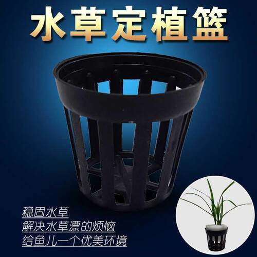 鱼缸水草固定价格 鱼缸水草固定图片 星期三