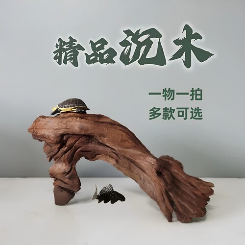 紫柚木免煮沉木鱼缸造景