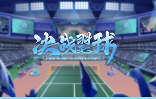 决战羽毛球 传奇角色 s球拍 钻石 可换绑到你自己号 排位