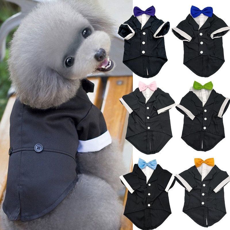 蓝色燕尾服绅士狗狗灰色红色领结礼服结婚黑色西装王子圣诞衣服