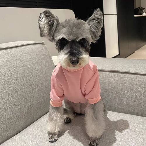 秋冬博美小狗狗衣服小熊比熊粉色