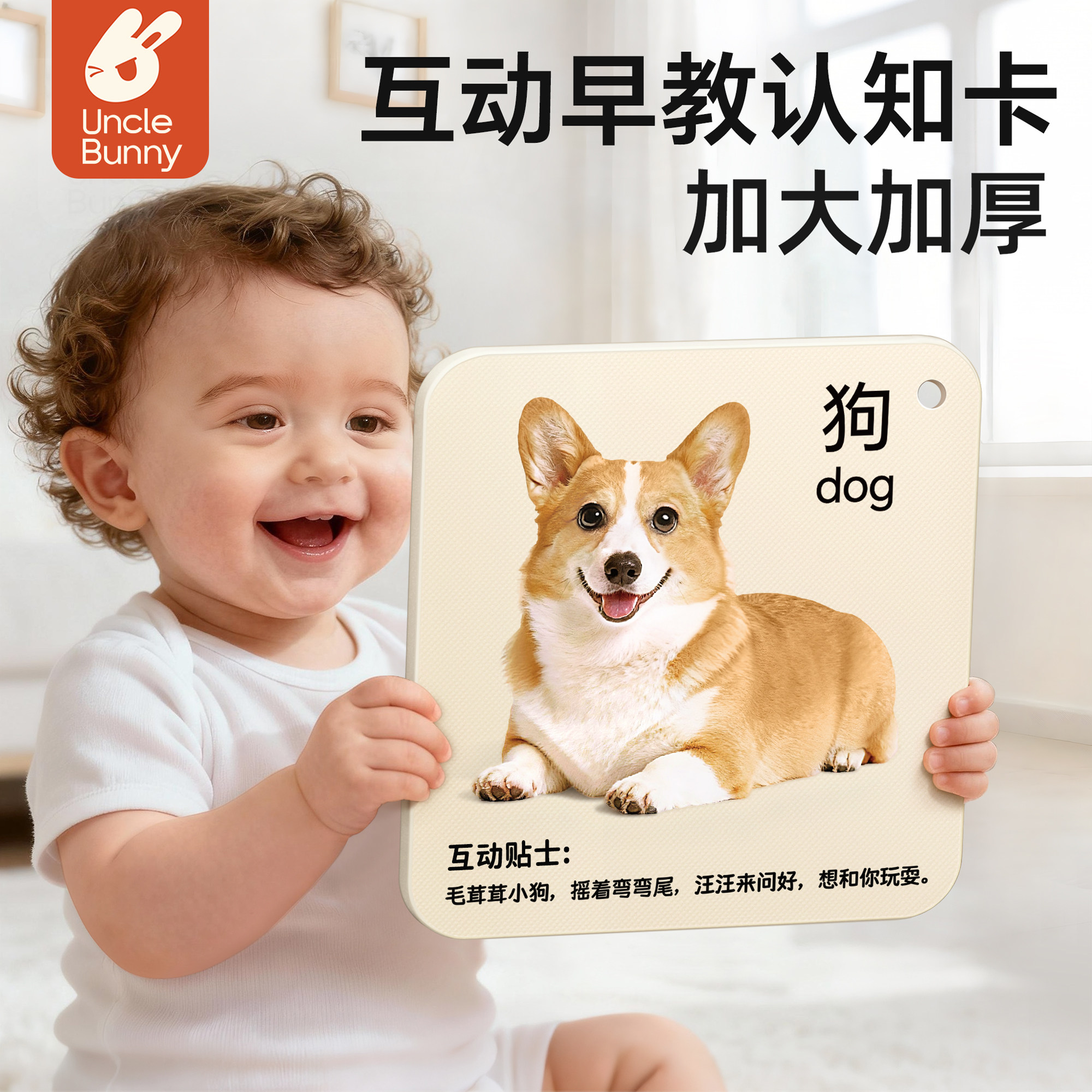 【加大加厚】早教认知卡片图片
