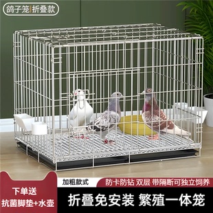 新型养鸽子笼养殖笼家用室外带隔断配对繁殖笼大号肉鸽笼鸽舍鸽窝