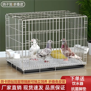 白鴿新型養鴿子籠室外斑鳩專用籠家用種鴿繁殖大號配對鴿舍帶隔斷