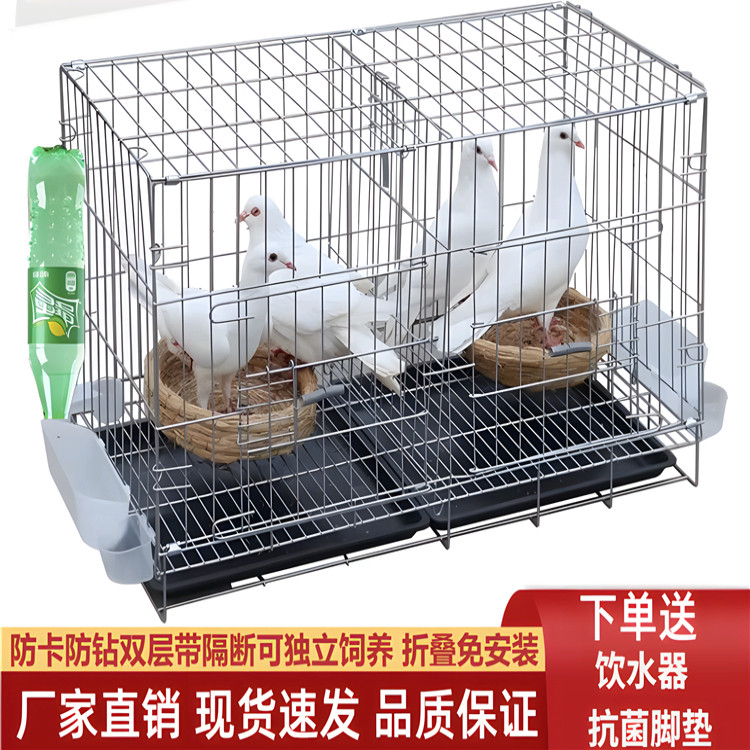 白鸽笼折叠养殖鸽子专用笼室内新款组装加密繁殖笼赛鸽公棚养家用