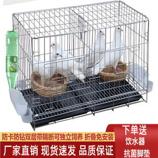 白鸽笼折叠养殖鸽子专用笼室内新款组装加密繁殖笼赛鸽公棚养家用