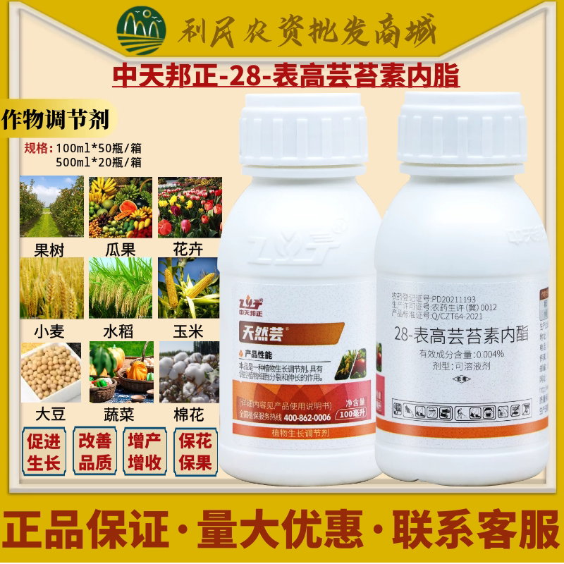 中天邦正 28-表高芸苔素内酯内脂 28表芸苔素膨果农药作物调节剂
