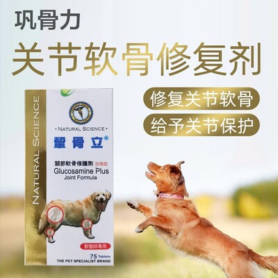 澳洲老年犬用硫酸软骨素关节
