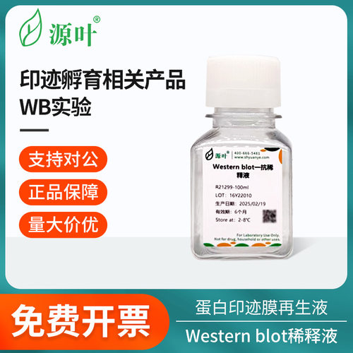源叶印迹孵育蛋白膜再生