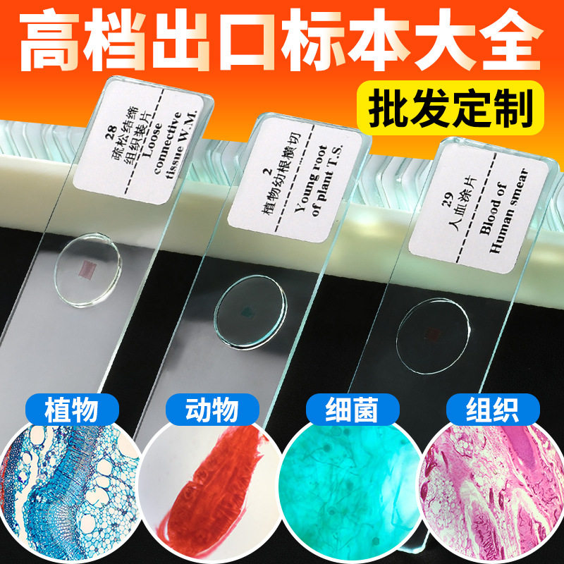 生物显微镜观察昆虫细胞