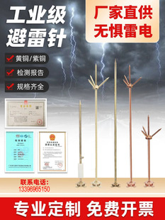 厂家直销船用纯铜避雷针紫铜黄铜工程室外防雷屋顶家用避雷针立杆