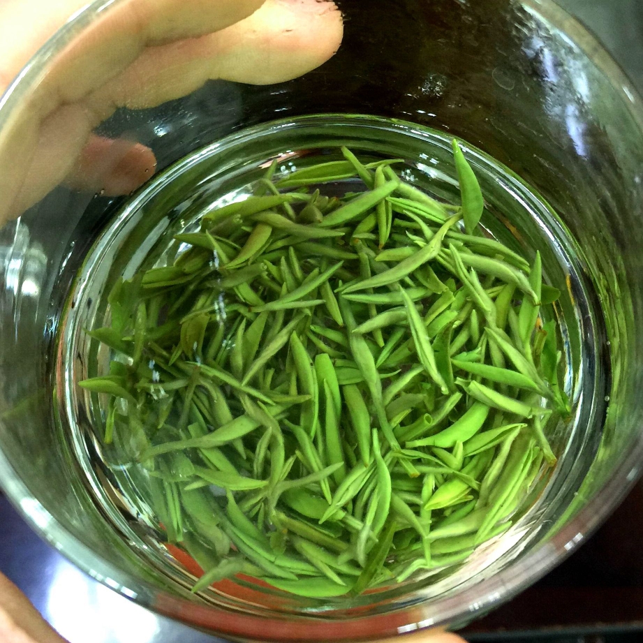 红安眉茶天台山2024年明前新茶浓香耐泡白毫小米芽茶叶袋装包邮