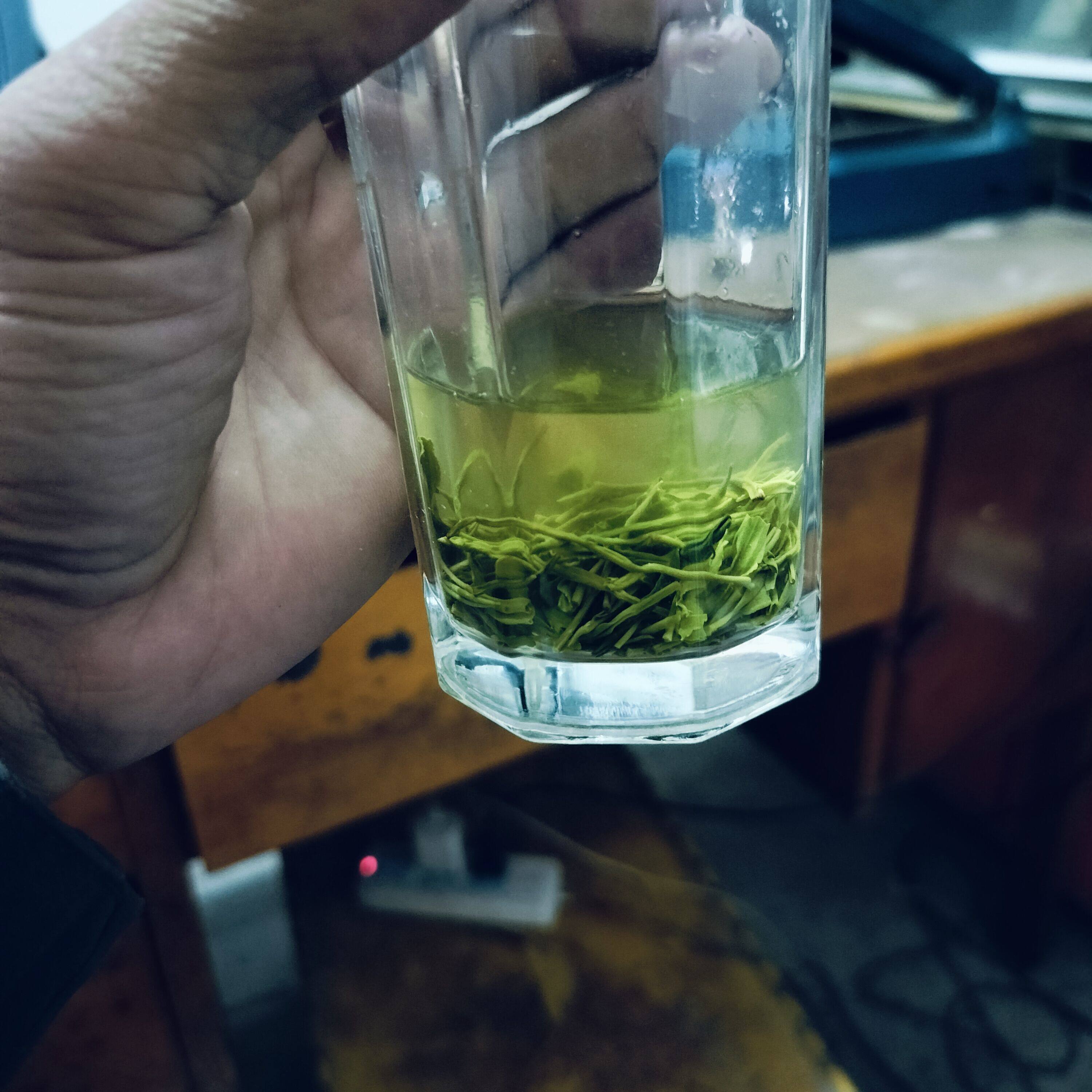 2026年新茶红安茗茶明前绿茶清香耐泡味道好提神醒脑高山茶叶