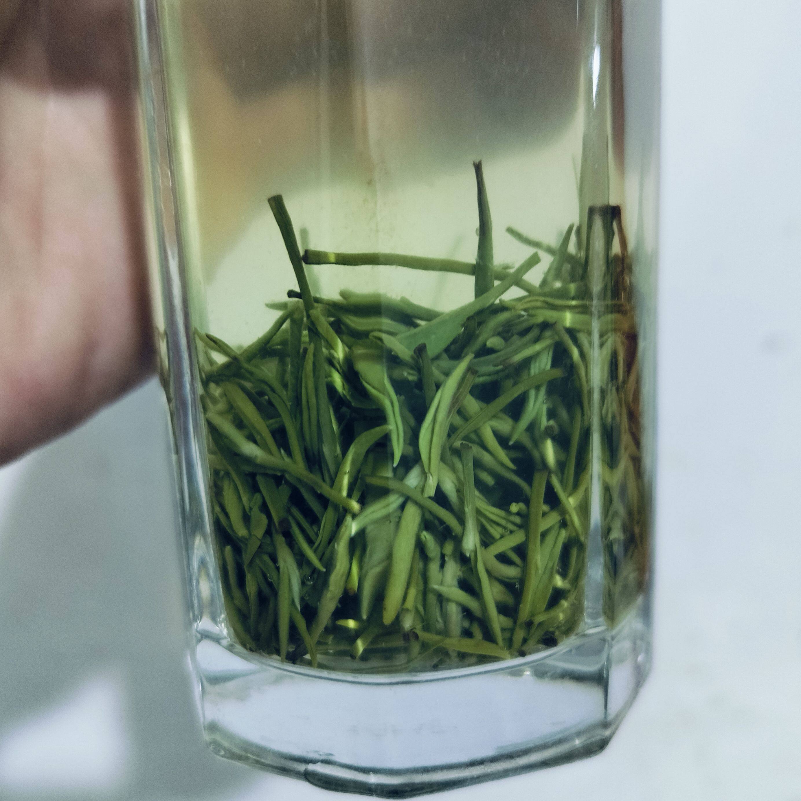 2025年红安华河眉茶明前新茶清香型手工绿茶茶叶一斤袋装包邮