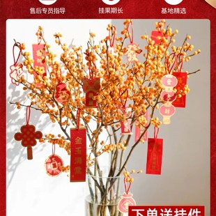 五代同堂黄金果盆栽绿植物乳茄果五指茄J花卉植物室内花年宵花乔