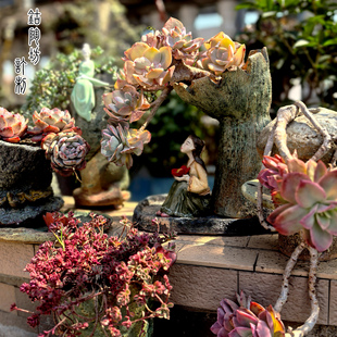 火锅大盆大口径异形简约复古手工方圆老桩法师盆景花盆花器室内外