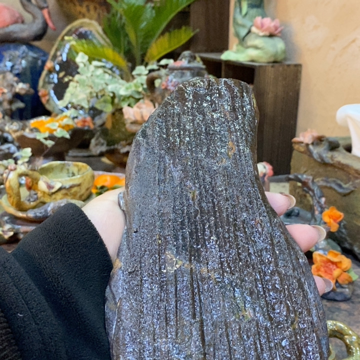 福利,家居饰品,花盆,淘宝优惠券,粉丝福利购,淘宝优惠卷