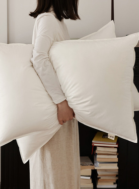 花时间生活云朵水洗棉枕头一对套家用护颈椎助睡眠双人枕芯薄软枕