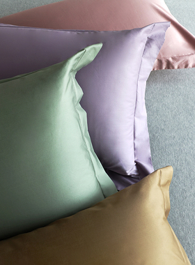 花时间生活柔软长绒棉贡缎枕套素色全棉助棉柔滑枕头套一对单品