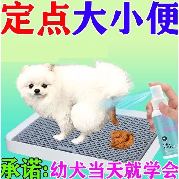 狗狗定点排便神器训练宠物小狗上厕所诱导剂防止狗狗乱拉屎大小便