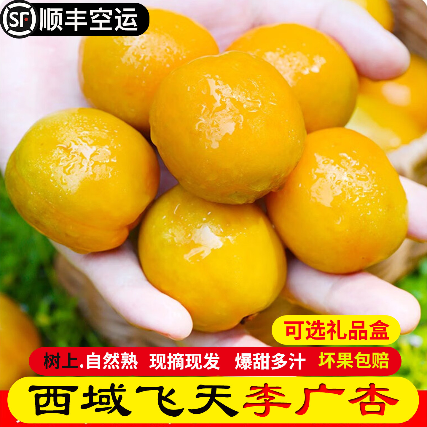 西域李广杏当季时令孕妇水果甘肃特产新鲜甜杏子5斤整箱顺丰包邮