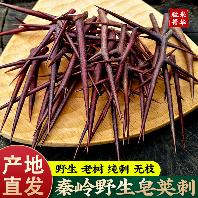 野生皂角刺中药材旗舰店正品天丁天丁刺皂荚皂角树刺皂刺皂荚刺
