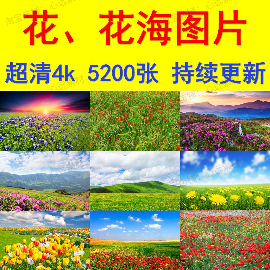 花海花田花卉花朵高清4K手机电脑壁纸jpg图片抖音快手自媒体素材