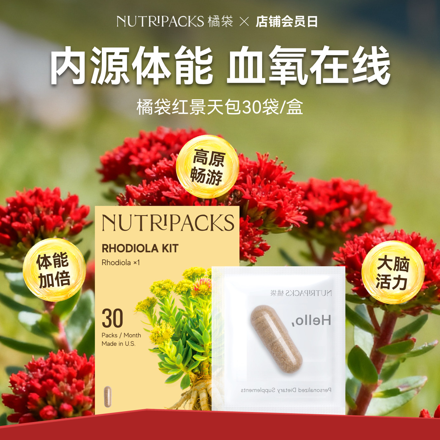 【血氧在线】橘袋进口红景天精力脑力养生包高原旅途便携草本滋补