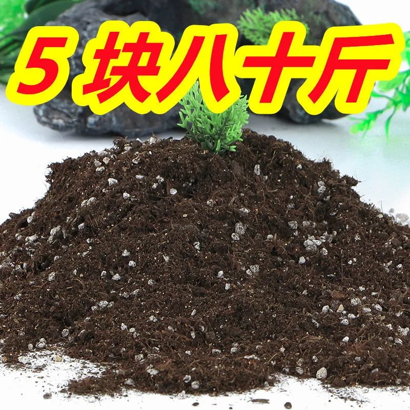 营养土养花专用通用种菜土壤种花花土蔬菜种植土椰砖肥料家用泥土怎么看?