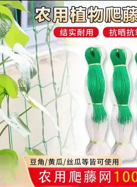 园艺爬藤网藤类花草山药架