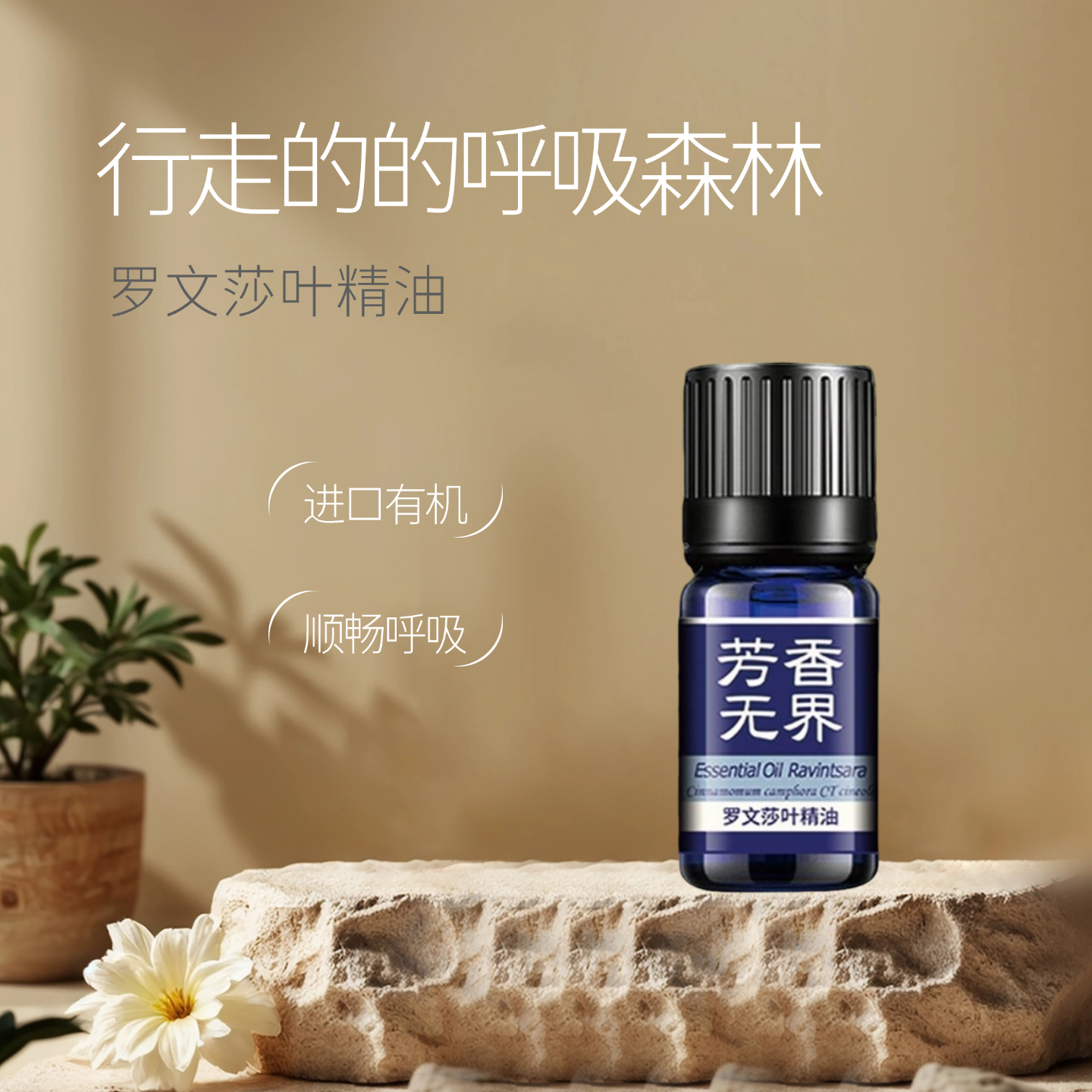 进口有机罗文莎叶单方纯精油香薰精油顺畅呼吸调节心情增强免疫力