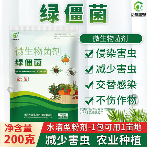 有机微生物菌绿僵菌减少蛴螬地老虎蝼蛄金龟子臭虫蝗虫菜青虫等
