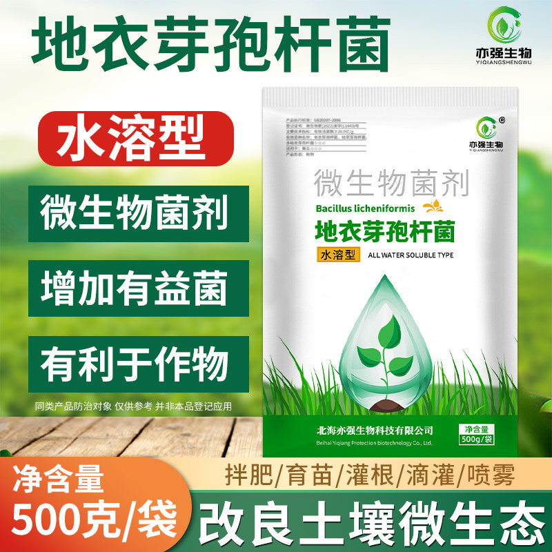 水溶型 地衣芽孢杆菌降低土传危害减少重茬地促生长生物菌剂
