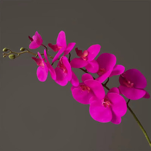 蝴蝶兰手感pu仿真花艺高端摆花客厅电视柜摆设花装饰高级假花摆件