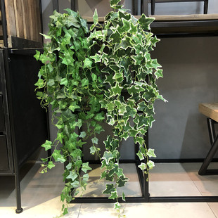 直销仿真假花常春藤植物墙藤条装饰室内外缠绕垂吊壁挂爬藤挂藤