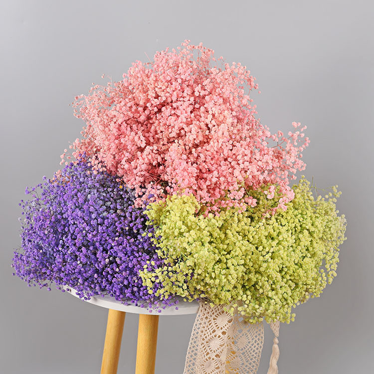 满天星永生花满天星干花花束diy材料母亲节礼物地摊花材礼品