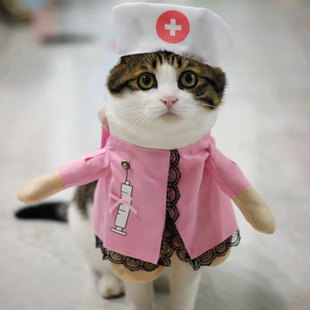 春秋宠物猫咪服饰可爱搞笑搞怪服装滑稽猫狗衣服站立变身装立体