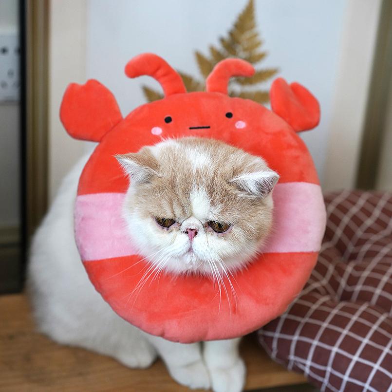 伊丽莎白圈猫耻辱脖圈 猫咪软布项圈脖套防舔绝育后用品可爱头套