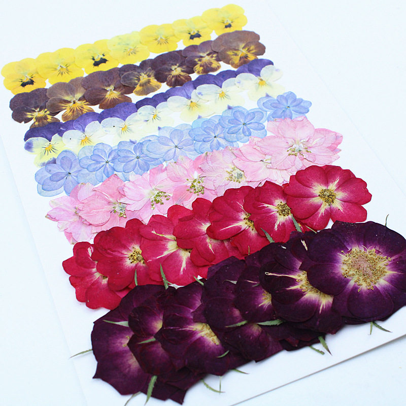 三色堇绣球飞燕玫瑰干花压花大包组合手工DIY押花滴胶相框画蜡烛