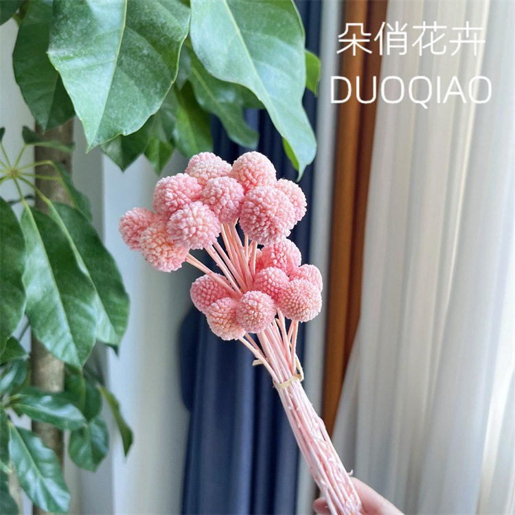 黄金球永生花花束干花真花保鲜花diy花材配花配草家居装饰摆件diy