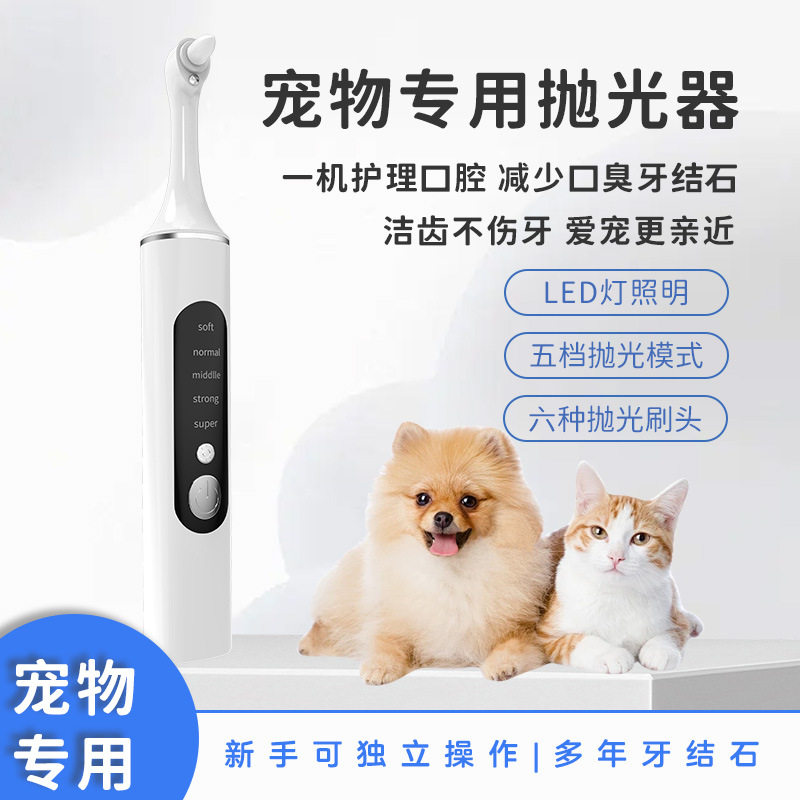 牙齿美白仪5档洁牙器宠物
