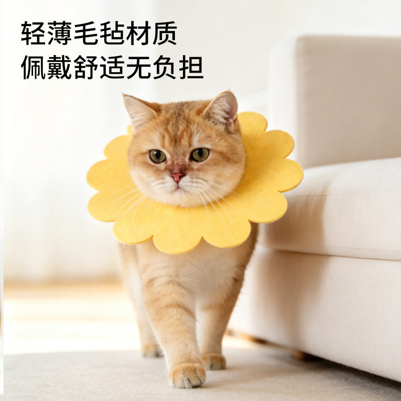 伊丽莎白圈猫防咬防舔太阳花口水巾毛毡布猫项圈一包5个