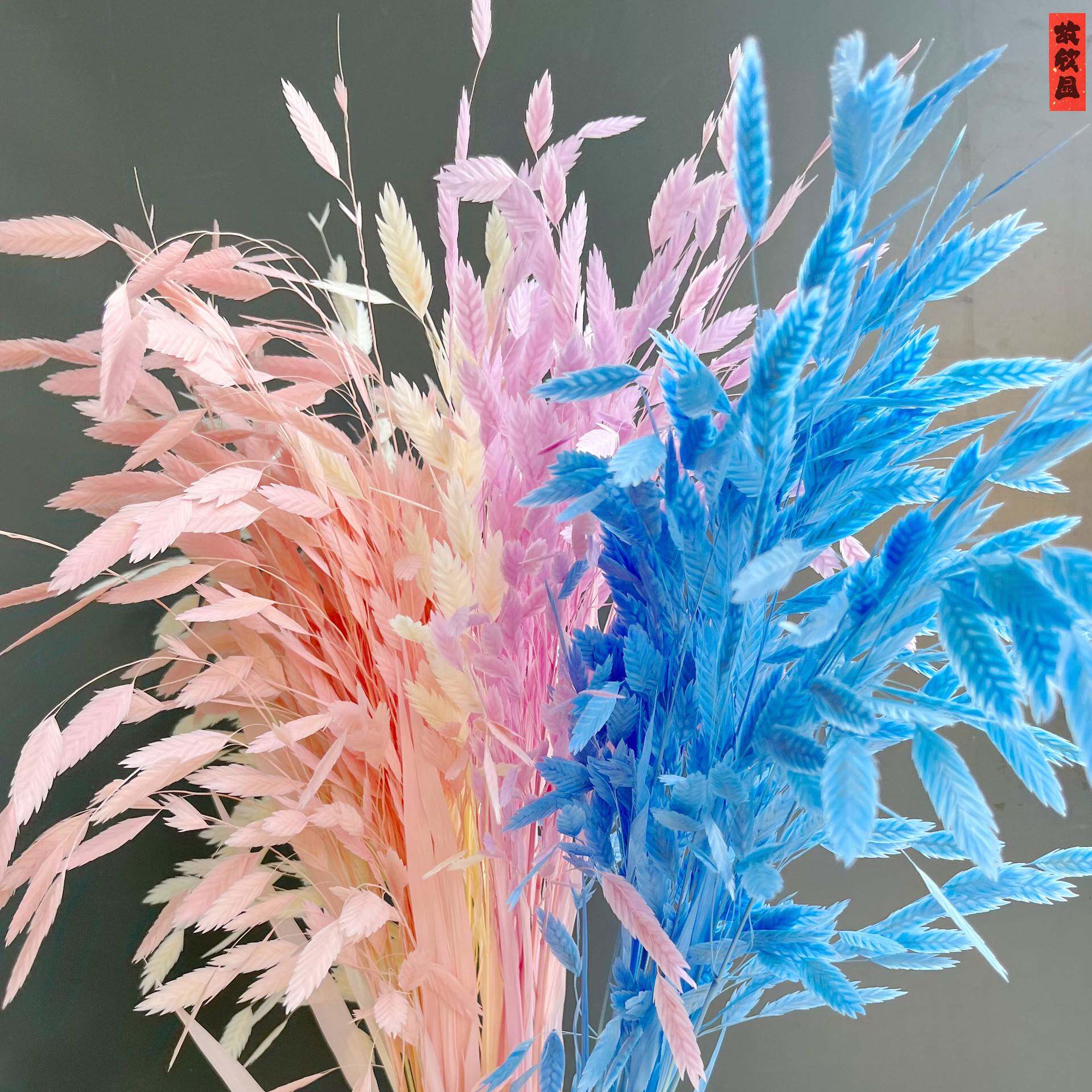 永生花小盼草钻石草永生花干花花束桌面摆件家居客厅装饰