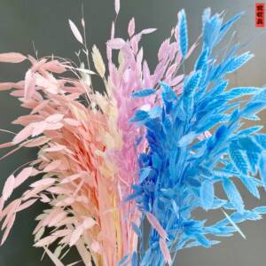 永生花小盼草钻石草永生花干花花束桌面摆件家居客厅装饰