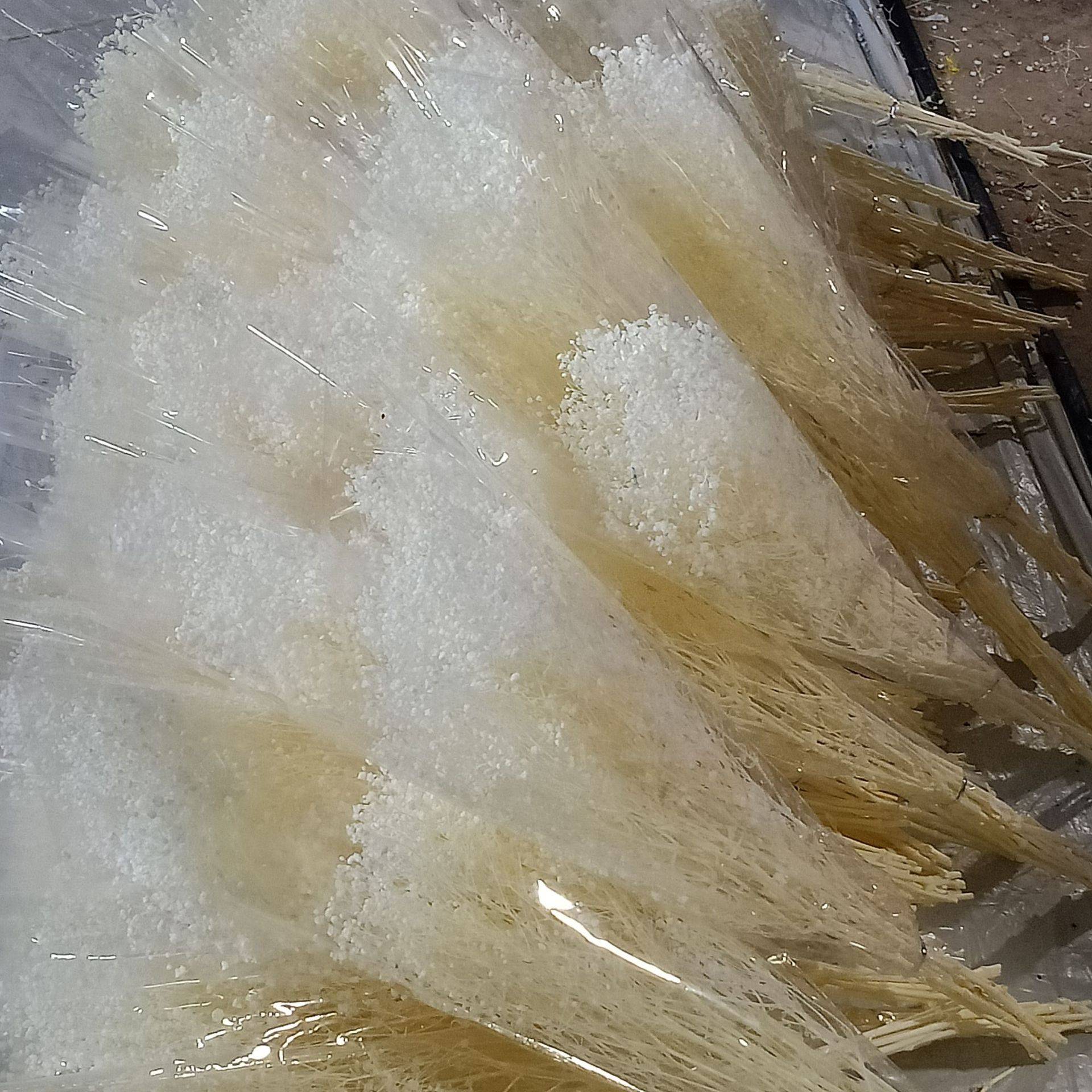 源头工厂永生花百万星梦幻星漂色满天星霞草干花花束DIY花盒材料
