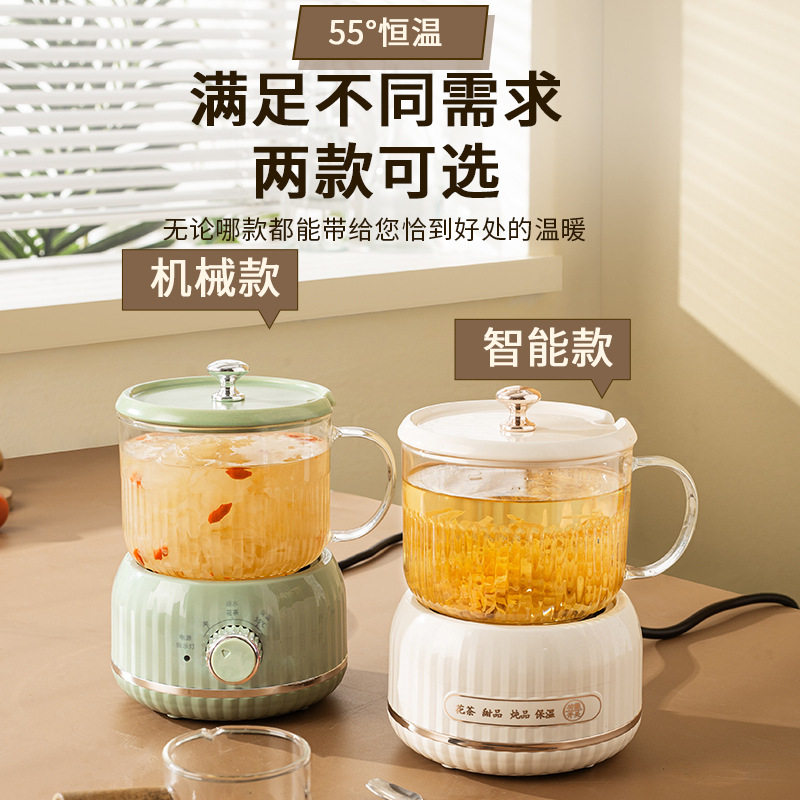 家用玻璃壶身迷你煮茶壶